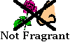 Not Fragrant